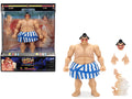 E. Honda 6.5' Moveable Figure with Accessories and Alternate Head and Hands 'Ultra Street Fighter II: The Final Challengers' (2017) Video Game Model by Jada