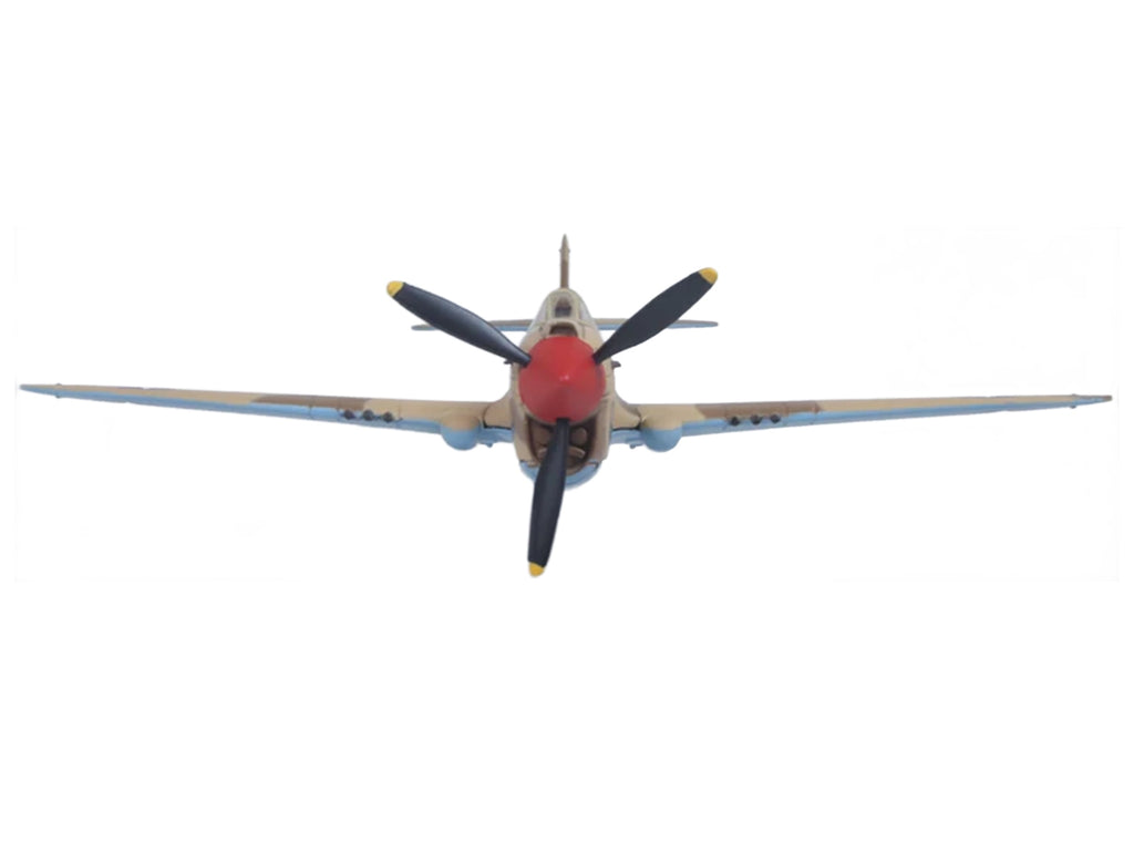 Curtiss Warhawk P-40E Fighter Aircraft 'Miss Memphis 85th Fighter Squadron 79th Fighter Group North Africa' (1943) United States Army Air Forces 'Oxford Aviation' Series 1/72 Diecast Model Airplane by Oxford Diecast